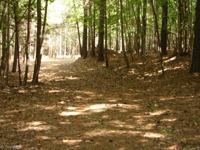 0 High Pine Church Road Asheboro, NC 27205 - Photo 11 of 23