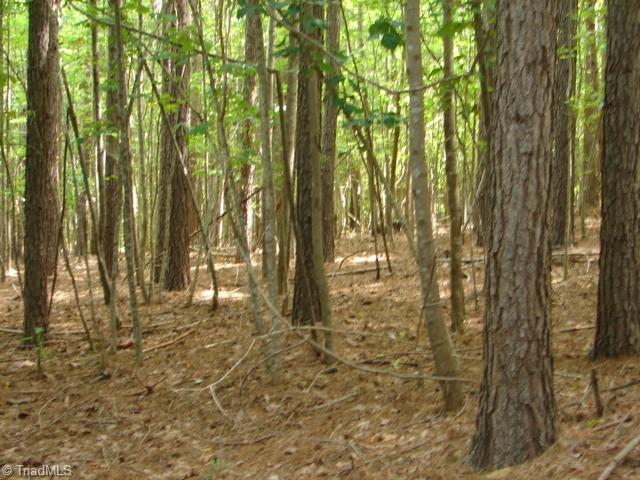 0 High Pine Church Road Asheboro, NC 27205 - Photo 12 of 23