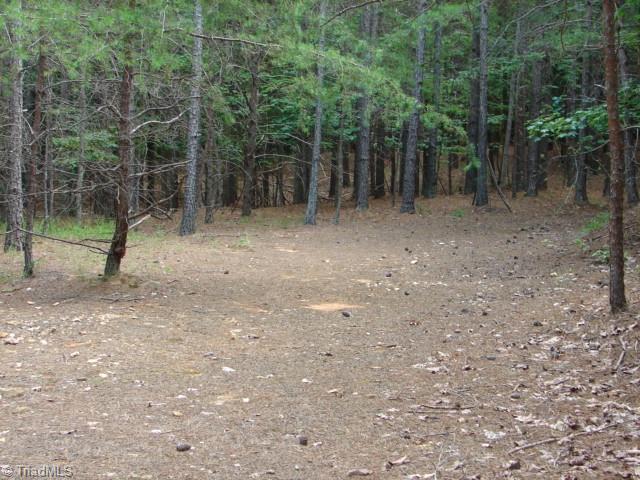 0 High Pine Church Road Asheboro, NC 27205 - Photo 13 of 23