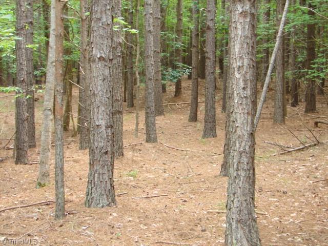 0 High Pine Church Road Asheboro, NC 27205 - Photo 15 of 23