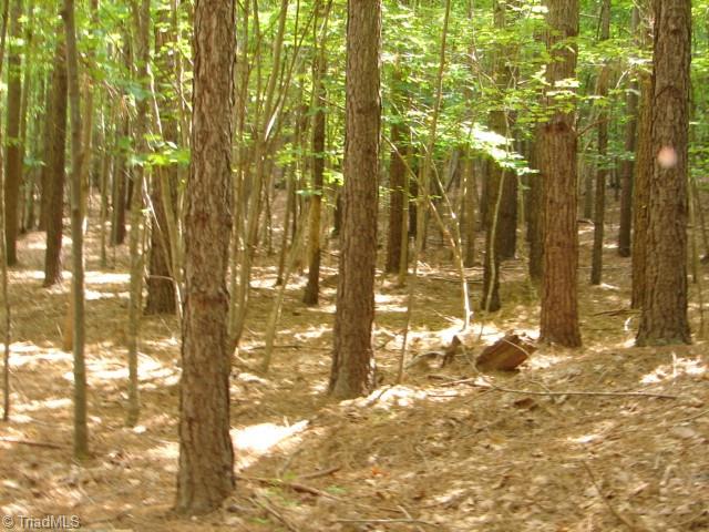 0 High Pine Church Road Asheboro, NC 27205 - Photo 16 of 23