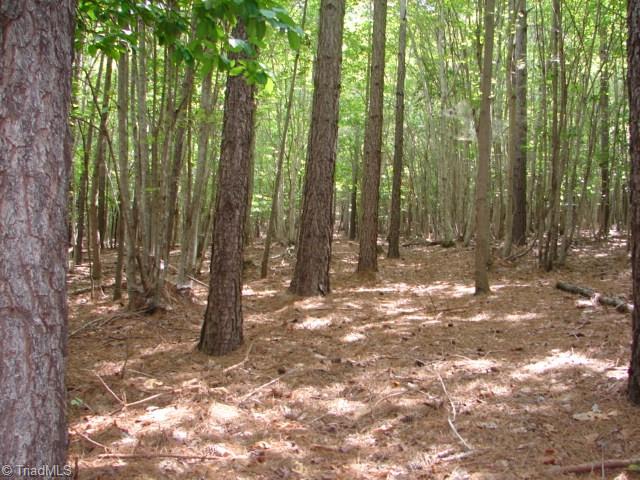 0 High Pine Church Road Asheboro, NC 27205 - Photo 17 of 23