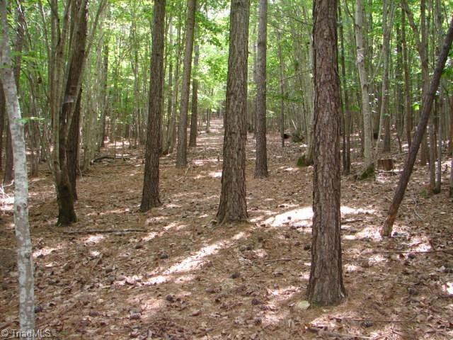 0 High Pine Church Road Asheboro, NC 27205 - Photo 19 of 23