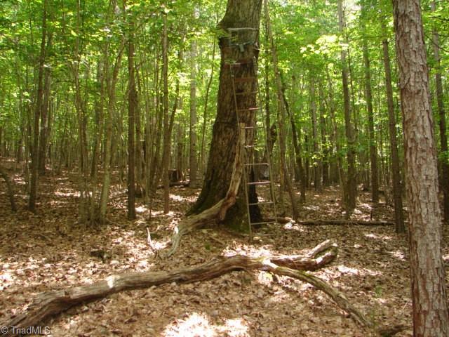 0 High Pine Church Road Asheboro, NC 27205 - Photo 20 of 23