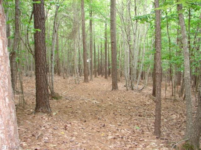 0 High Pine Church Road Asheboro, NC 27205 - Photo 21 of 23