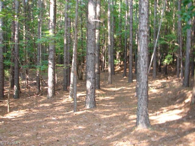 0 High Pine Church Road Asheboro, NC 27205 - Photo 6 of 23