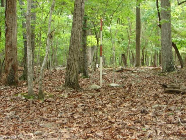 0 High Pine Church Road Asheboro, NC 27205 - Photo 9 of 23