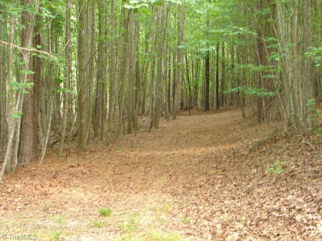 0 High Pine Church Road Asheboro, NC 27205 - Photo 10 of 23