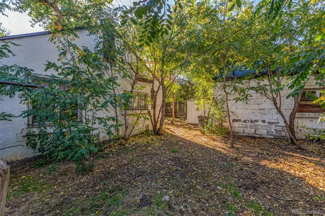 a view of a yard with plants and trees