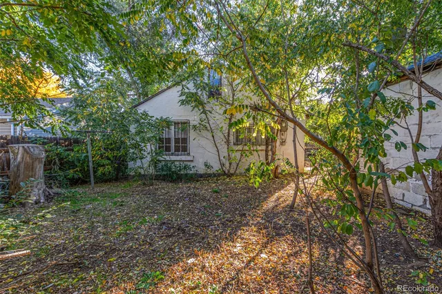 a backyard of a house with lots of trees