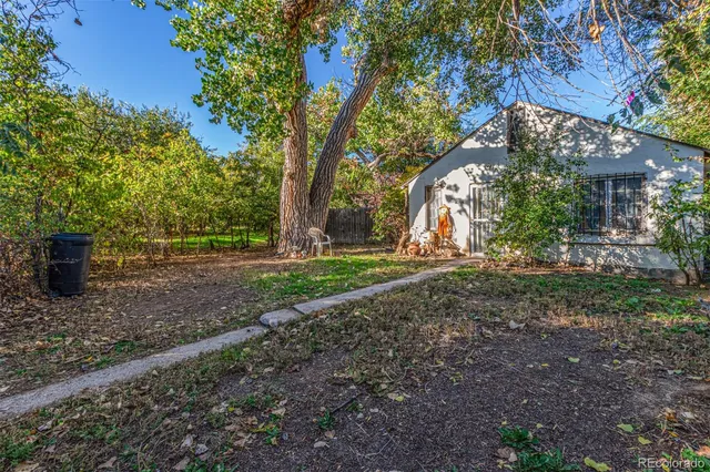 a view of a park with large trees