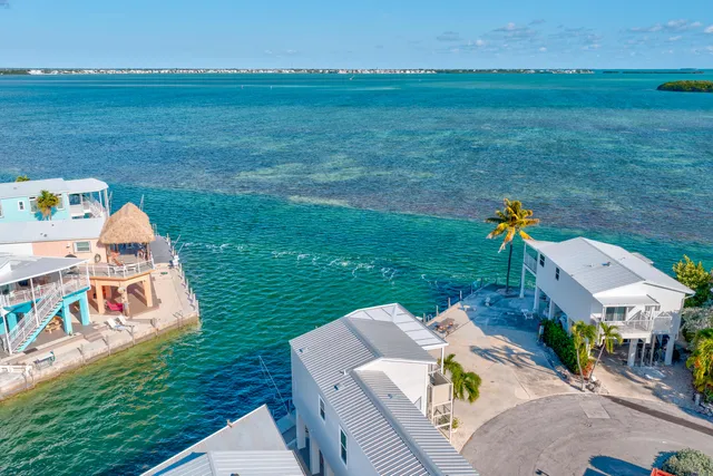 an aerial view of a house with a garden and lake view