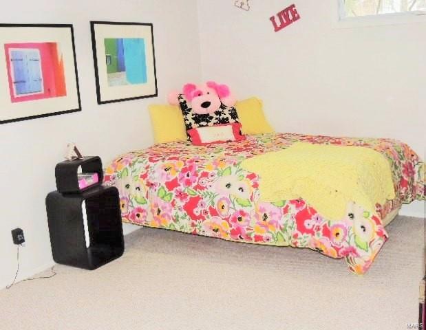 456 Lindemann Road St. Louis, MO 63122 - Photo 52 of 67 Gallery Image 52