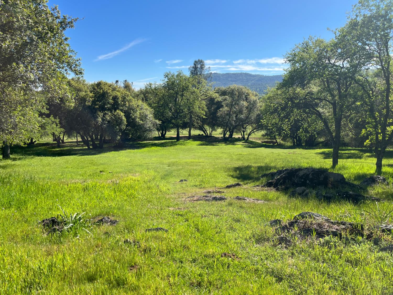 a view of a golf course with a lake