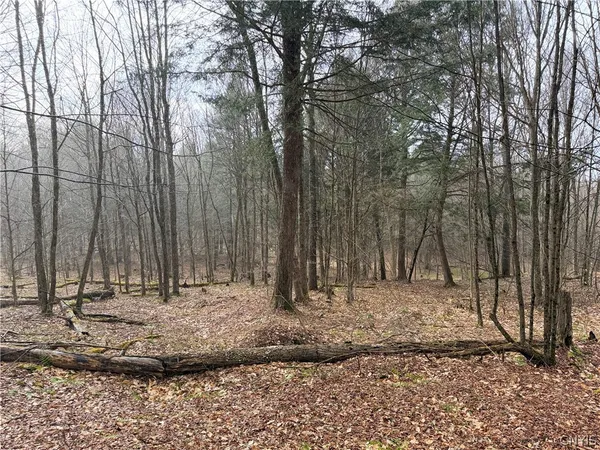 $150,000 | Solitude Forest Drive, Pitcher, NY 13136