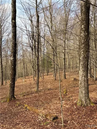 $150,000 | Solitude Forest Drive, Pitcher, NY 13136