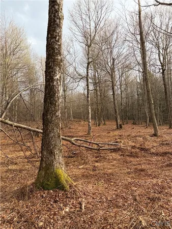 $150,000 | Solitude Forest Drive, Pitcher, NY 13136