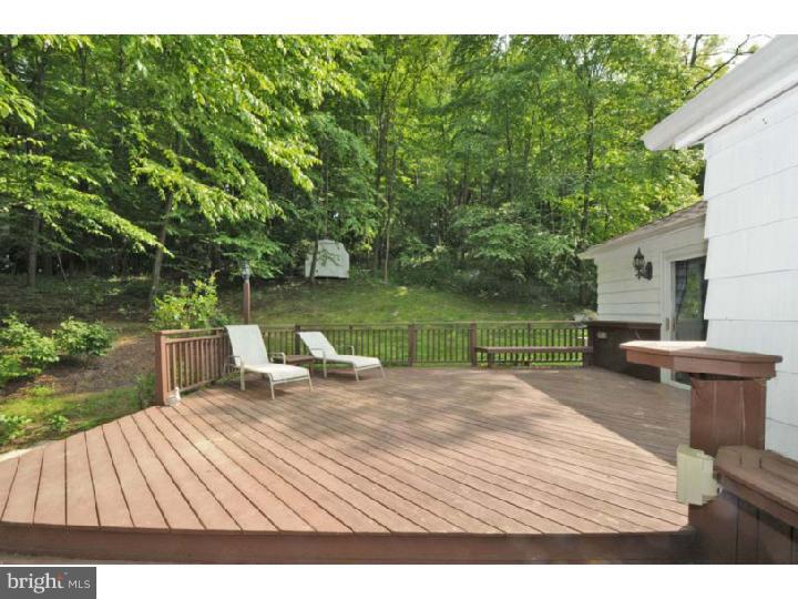 1319 Centennial Road Penn Valley, PA 19072 - Photo 20 of 21 Deck