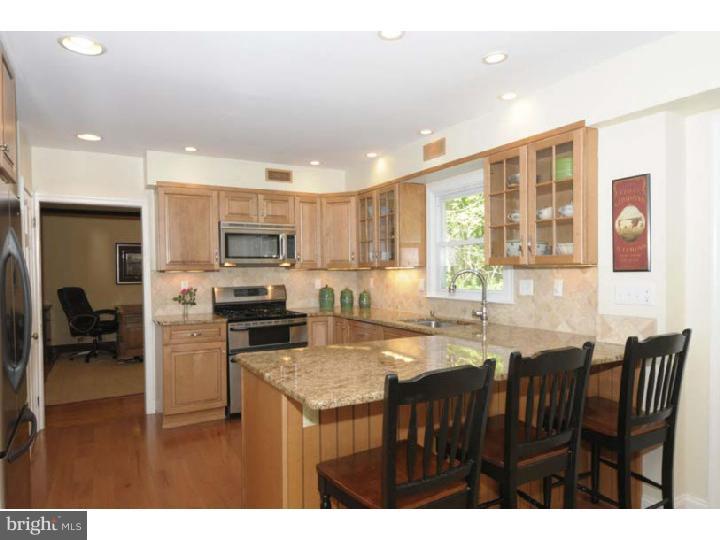 1319 Centennial Road Penn Valley, PA 19072 - Photo 7 of 21 Kitchen