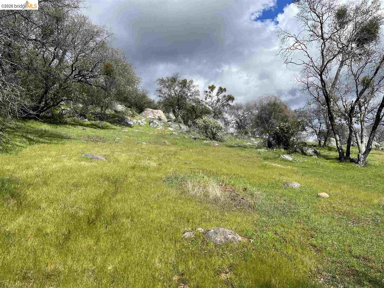 18351 Olov Road Sonora, CA 95370 - Photo 16 of 29 a view of a trees in a yard