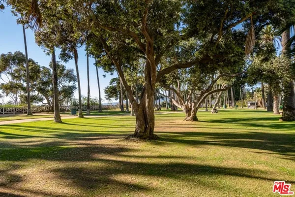 a view of a garden with a tree