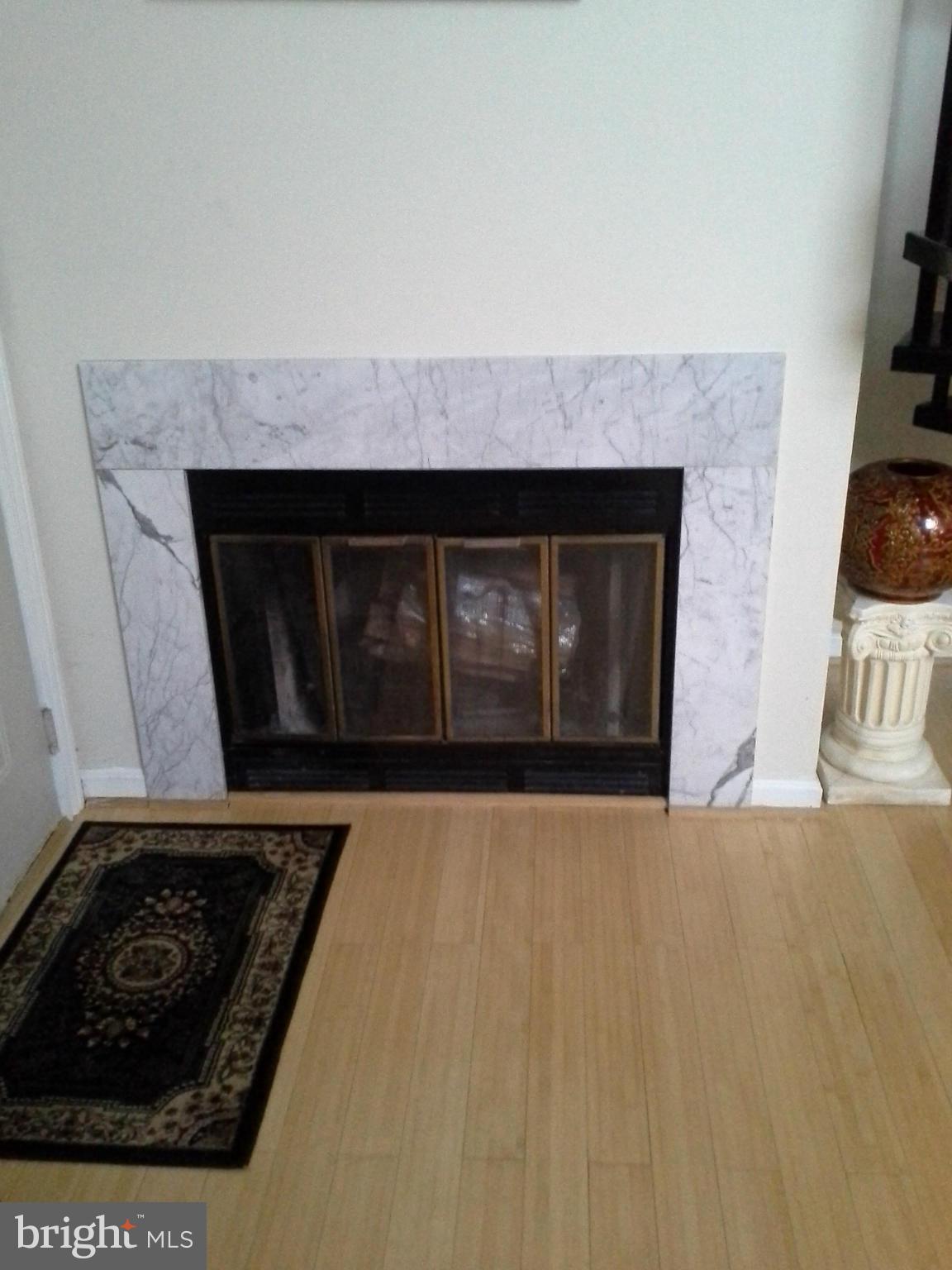 10423 Beacon Ridge Drive, Unit 304 Bowie, MD 20721 - Photo 1 of 30 Fireplace