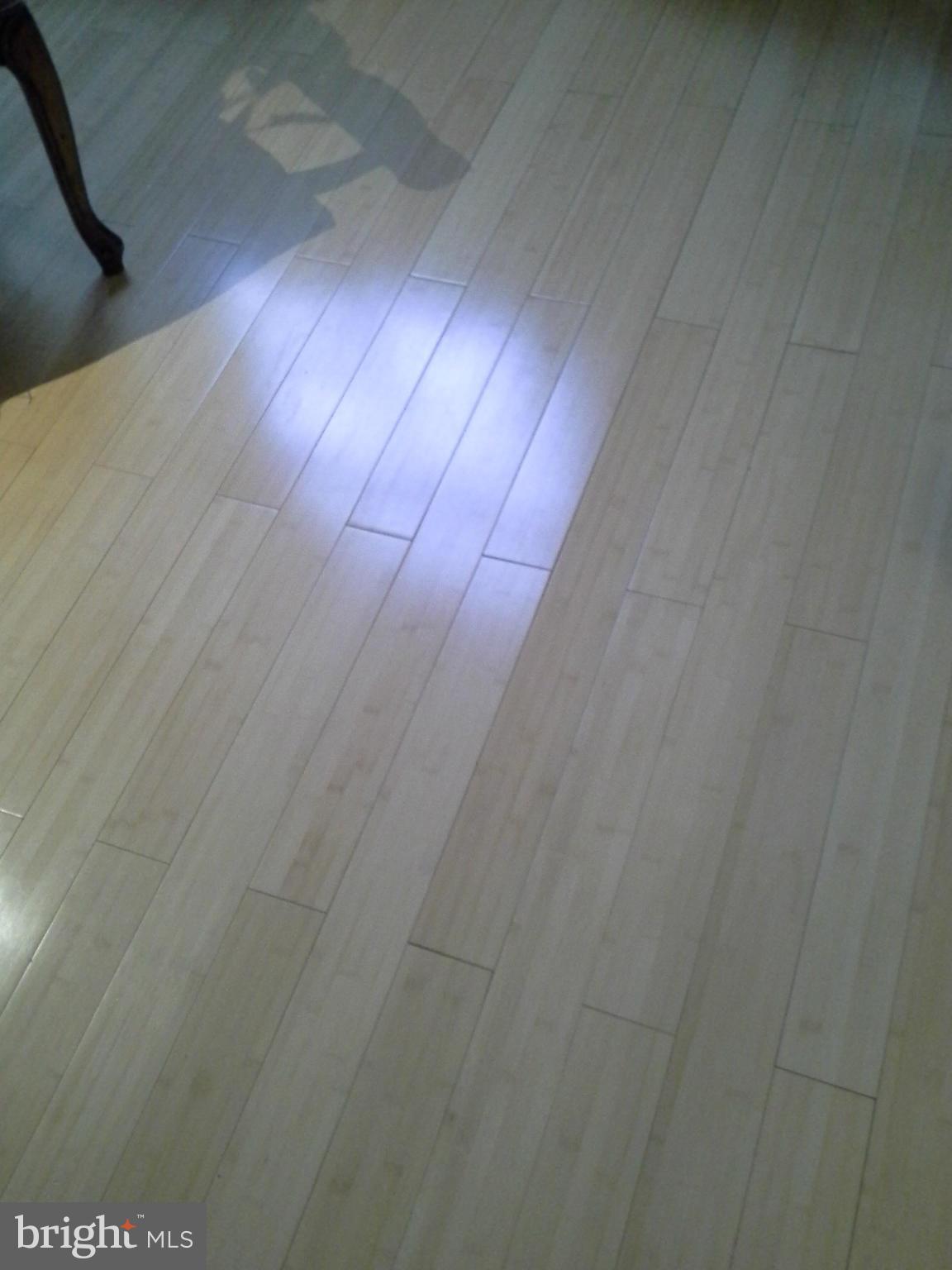 10423 Beacon Ridge Drive, Unit 304 Bowie, MD 20721 - Photo 2 of 30 New Hardwood Floors