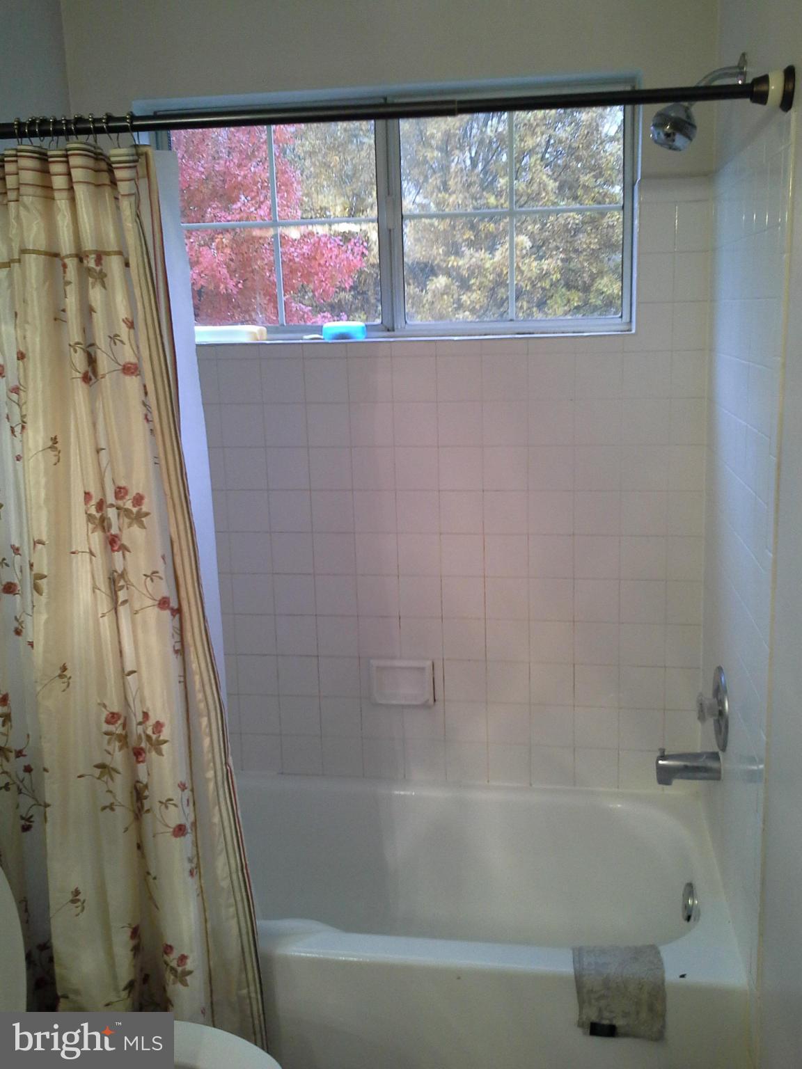 10423 Beacon Ridge Drive, Unit 304 Bowie, MD 20721 - Photo 29 of 30 Bath (Master)