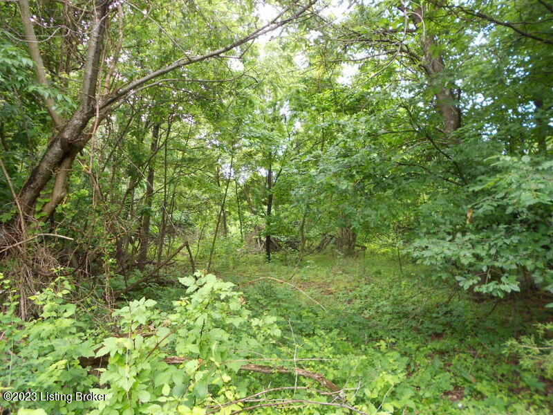 1775 Howardstown Road Hodgenville, KY 42748 - Photo 8 of 8 Land