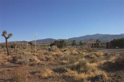 0 Mango Road Phelan, CA 92371 - Photo 1 of 1