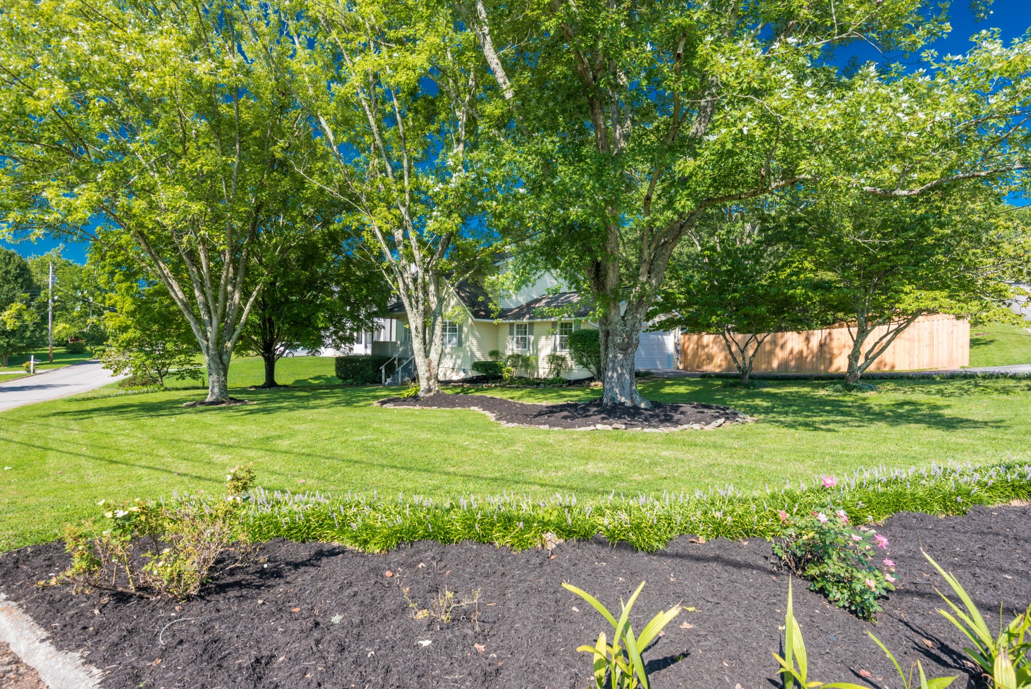 1915 Plumb Ridge Road Knoxville, TN 37932 - Photo 4 of 35 Gallery Image 4