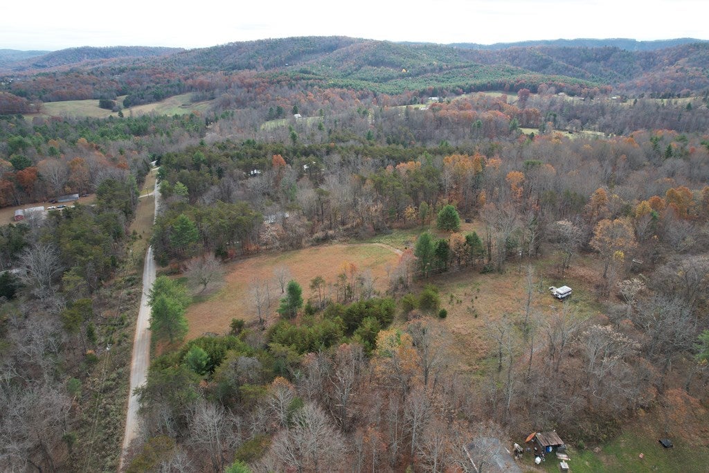 357 Bertha Farms Road Barren Springs, VA 24313 - Photo 16 of 30 Gallery Image 16