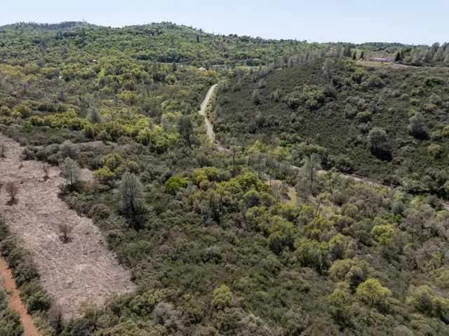 a view of a city with lush green forest