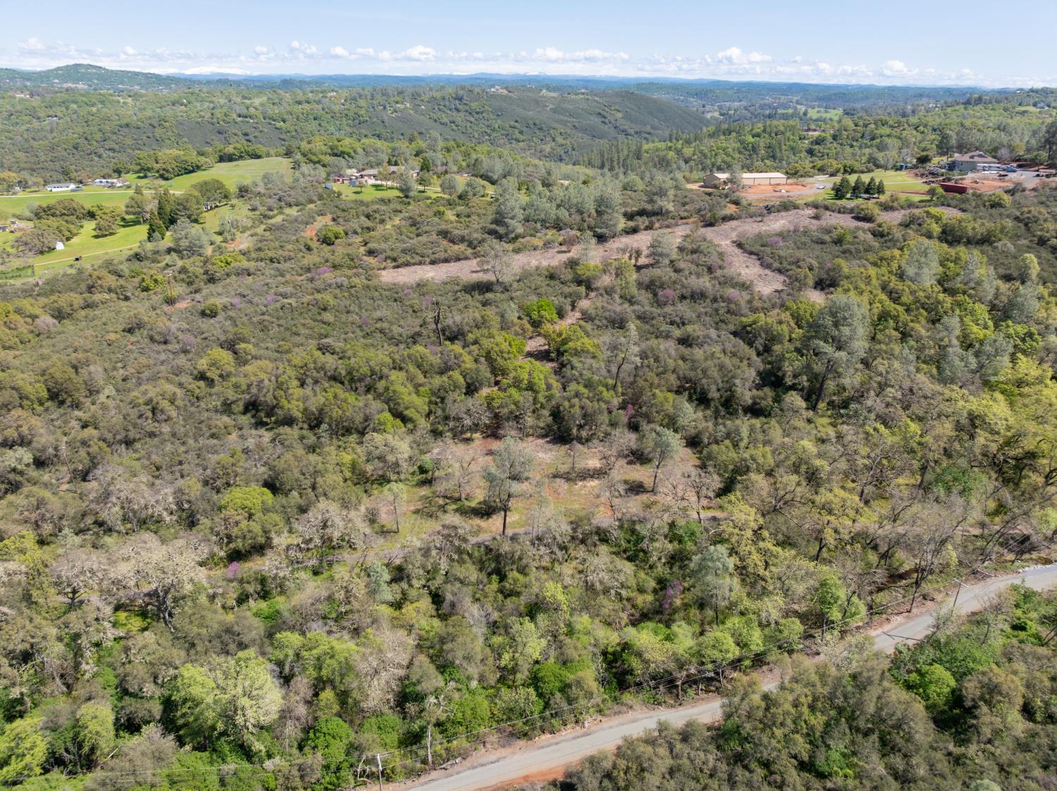 8 Jurgens Road Rescue, CA 95672 - Photo 22 of 42 a view of a forest with trees in the background