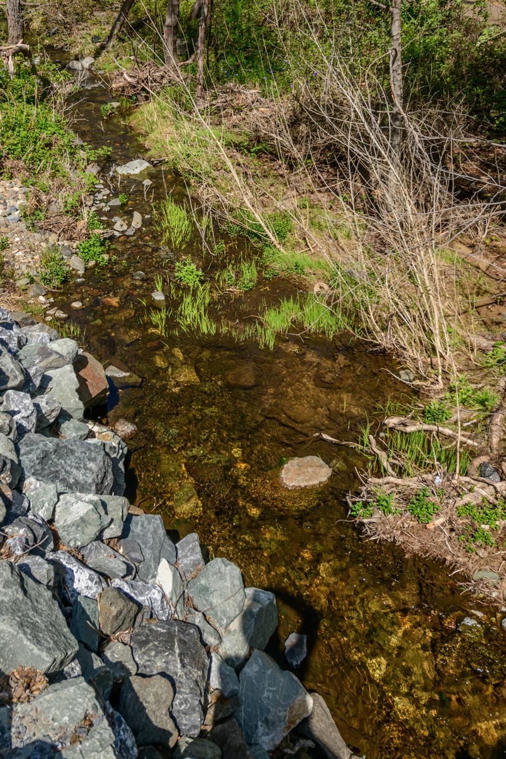 8 Jurgens Road Rescue, CA 95672 - Photo 28 of 42