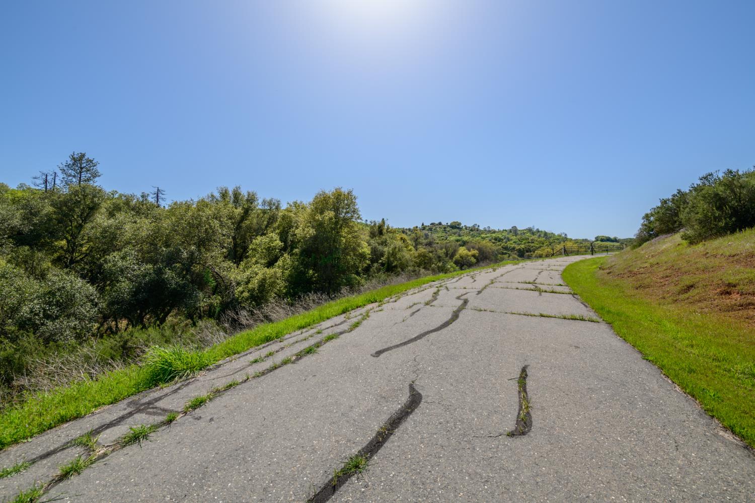 8 Jurgens Road Rescue, CA 95672 - Photo 35 of 42 a view of a road with a yard