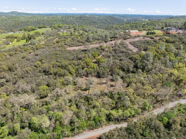 a view of a field with trees in the background