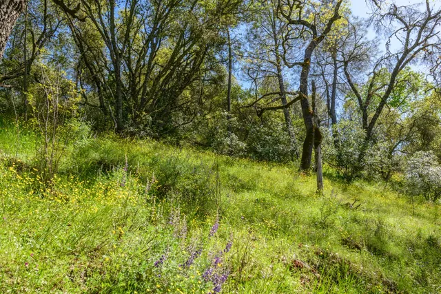 $1,100,000 | 8 Jurgens Road, Rescue, CA 95672