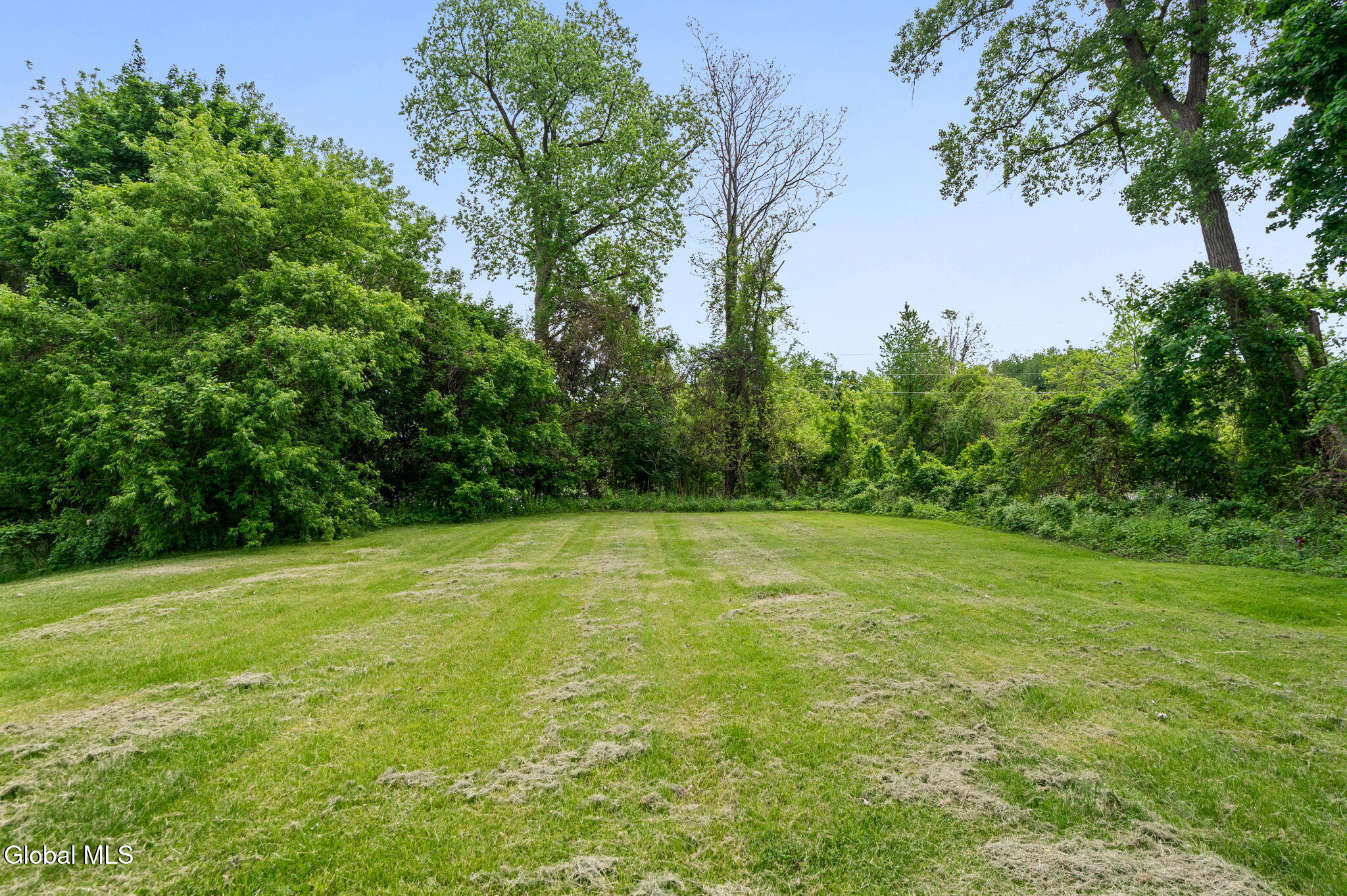 36 New Turnpike Road Troy, NY 12182 - Photo 19 of 20 Yard