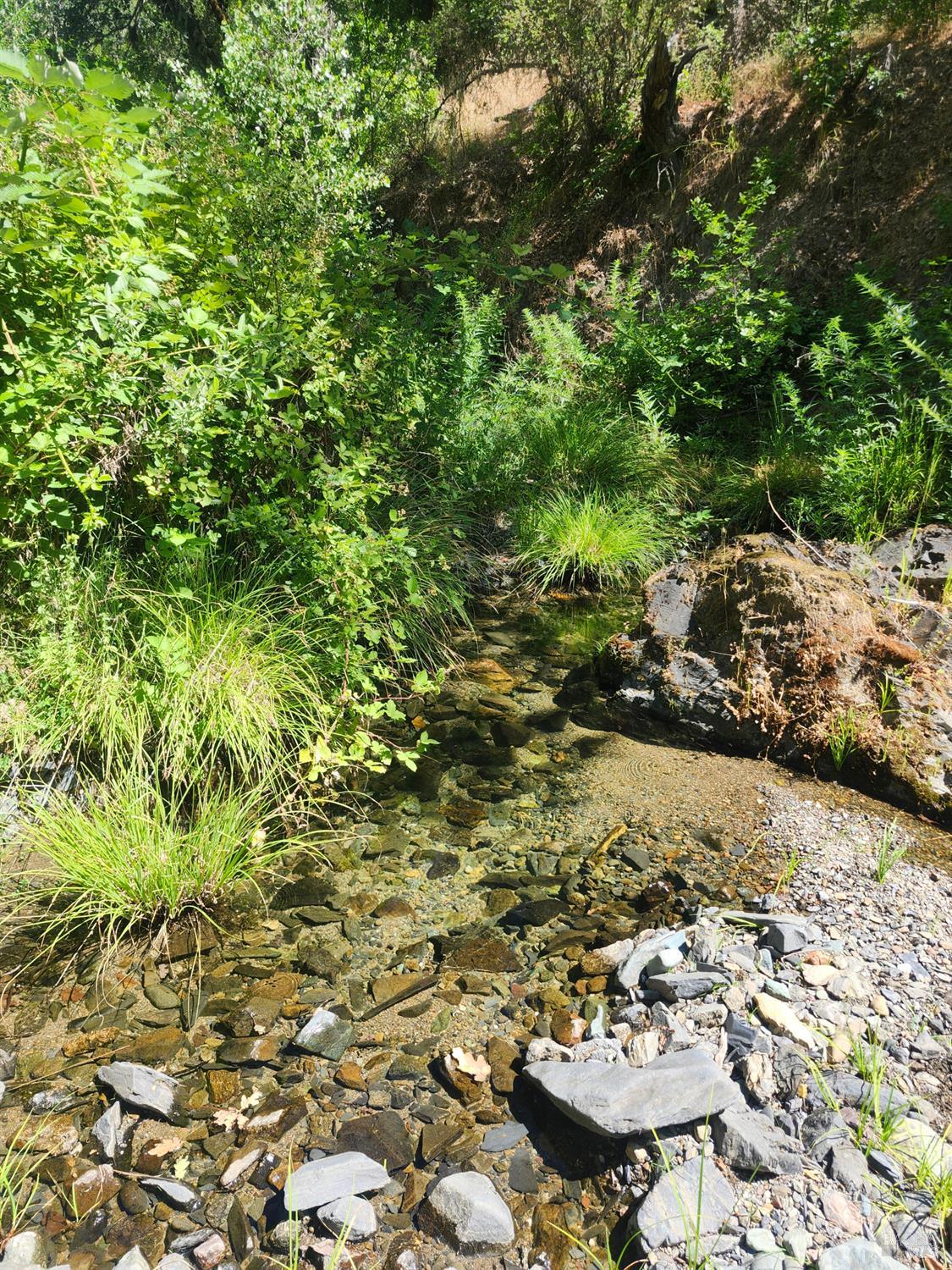 22551 Rifle Range Road Covelo, CA 95428 - Photo 13 of 24