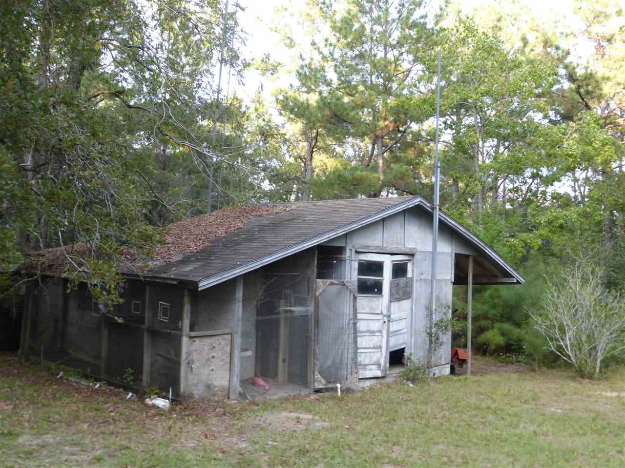 734 Robin Road Monticello, FL 32344 - Photo 4 of 36 Gallery Image 4