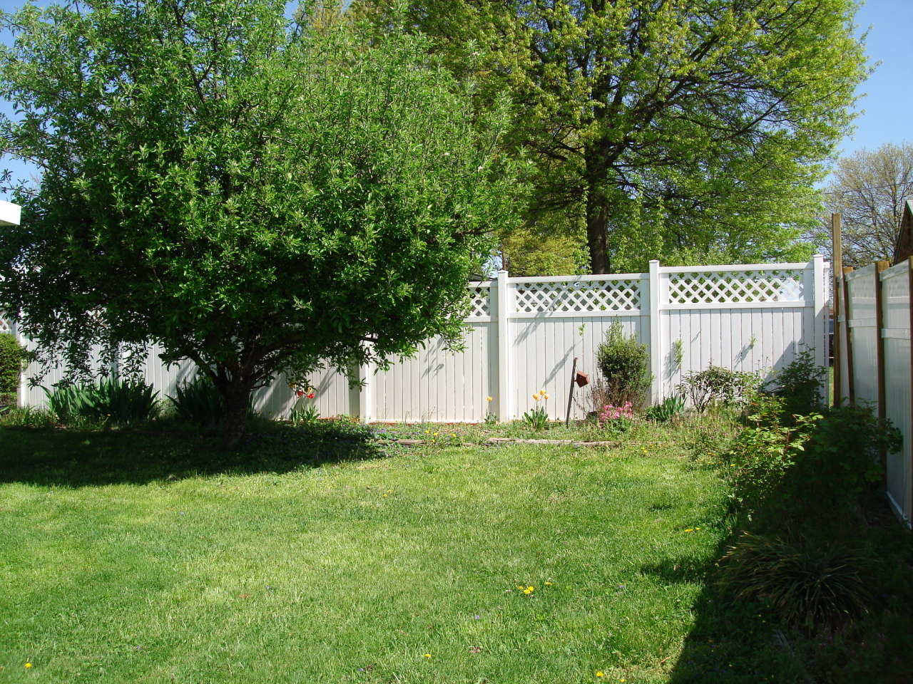 1647 Andrews Road Northwest Roanoke, VA 24017 - Photo 7 of 9 Apple Tree