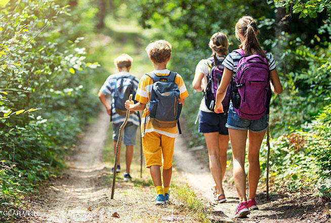381 Bear Trail Winter Park, CO 80482 - Photo 34 of 38