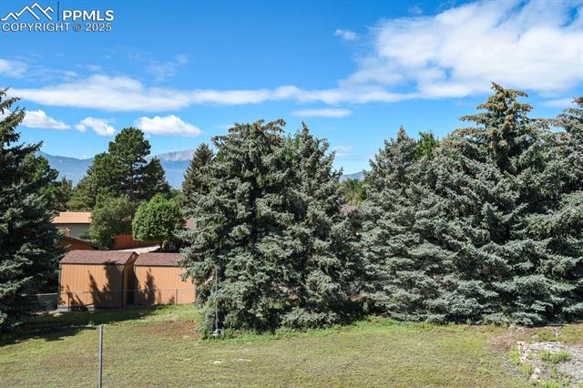 5306 Miranda Road Colorado Springs, CO 80918 - Photo 13 of 39
