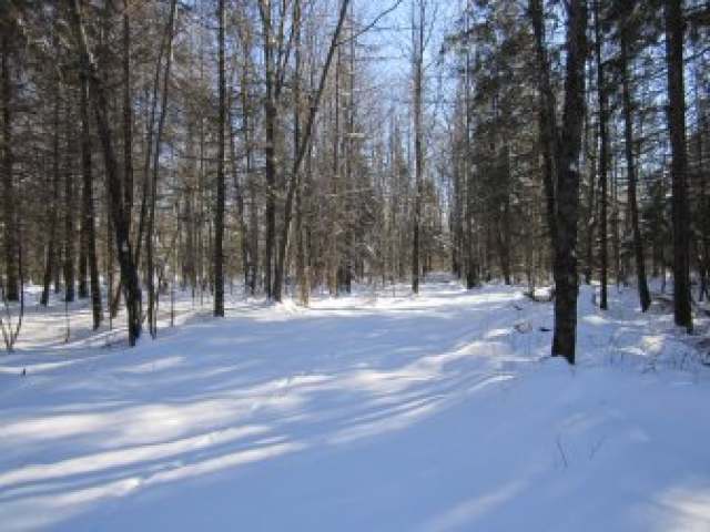 On Cemetery Road Prentice, WI 54556 - Photo 2 of 3 Gallery Image 2