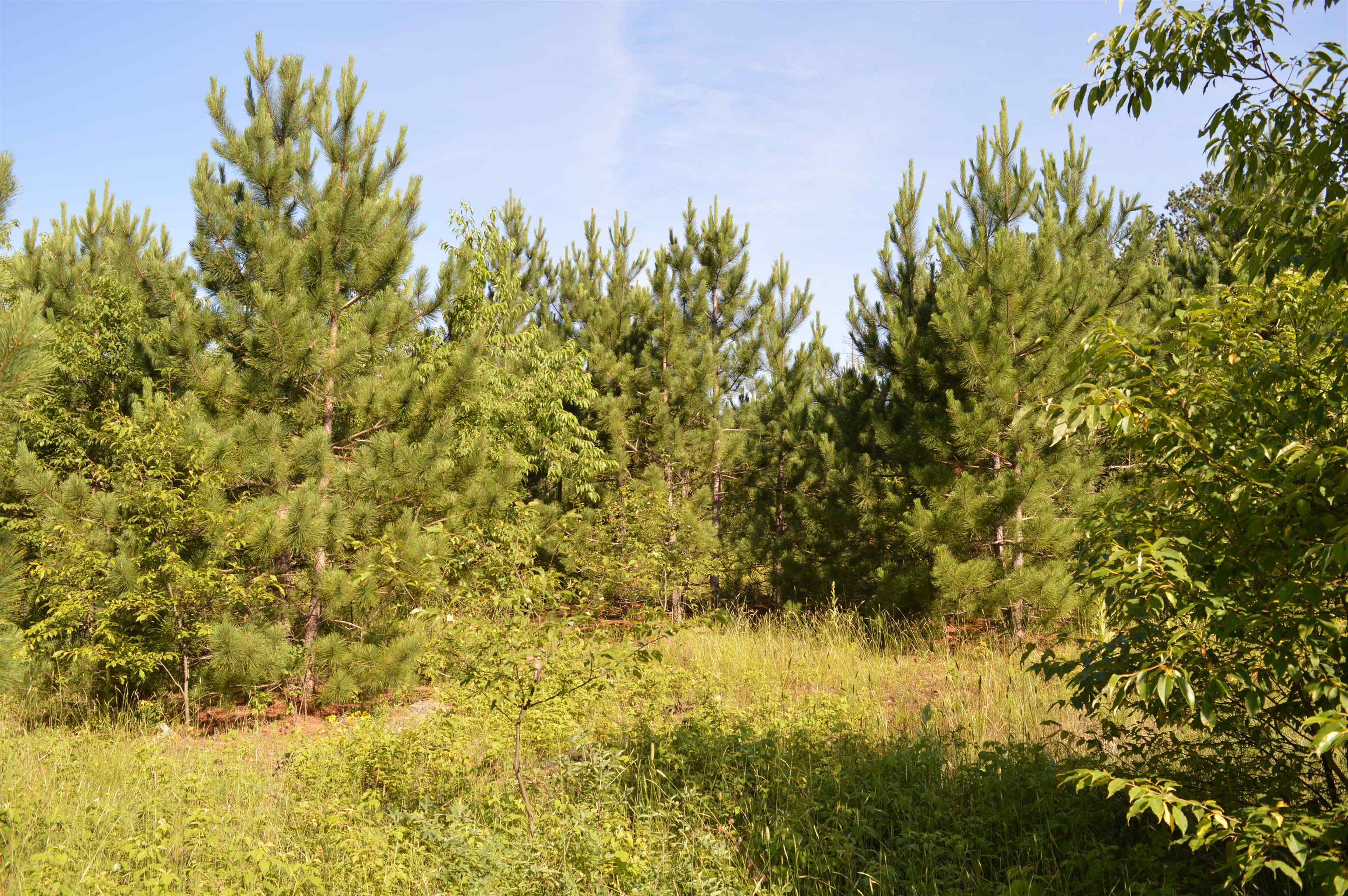 Northeast Holly Road, Unit LOT: A Kalkaska, MI 49646 - Photo 15 of 27