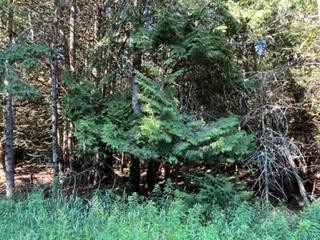 Tbd West Bues Point Road Baileys Harbor, WI 54202 - Photo 1 of 3 Main View