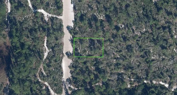 a view of a yard with large trees