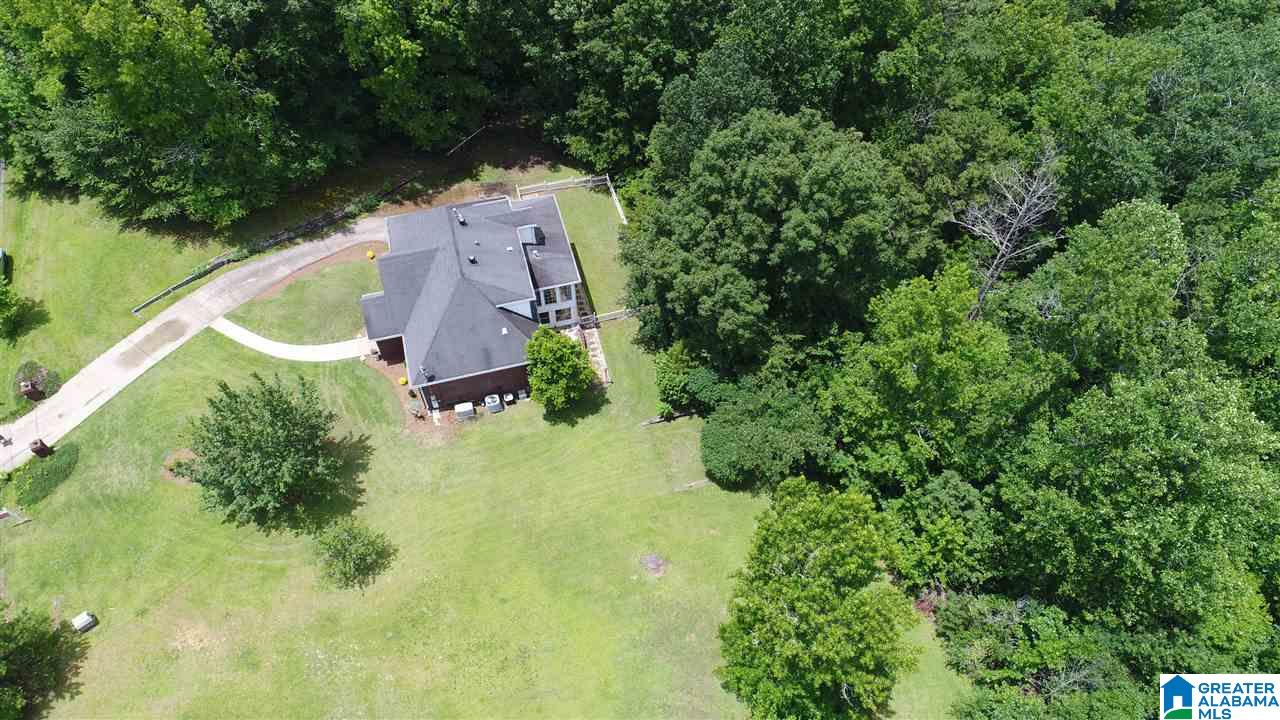 7212 Deer Haven Road Pinson, AL 35126 - Photo 3 of 35