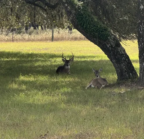 a view of swimming pool from a yard